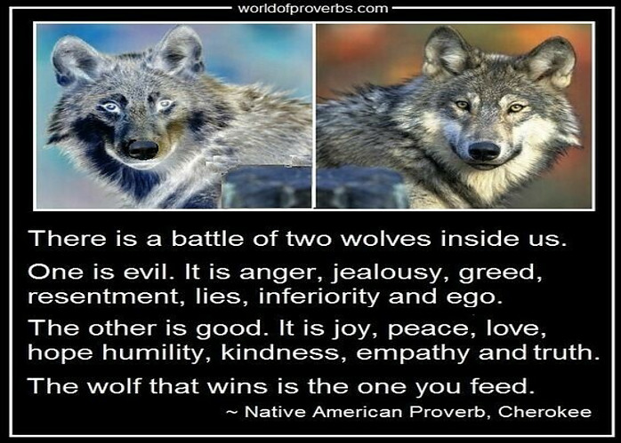 the native american proverb about wolves