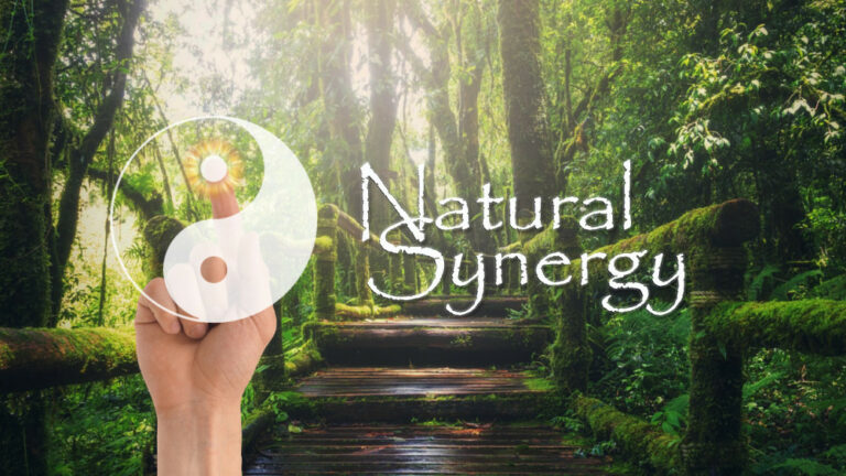 Pure Energy Healing with Natural Synergy