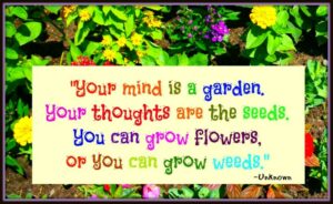 Your mind is a garden