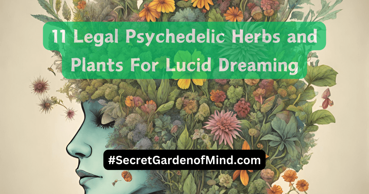 11 Legal Psychedelic Herbs and Plants For Lucid Dreaming