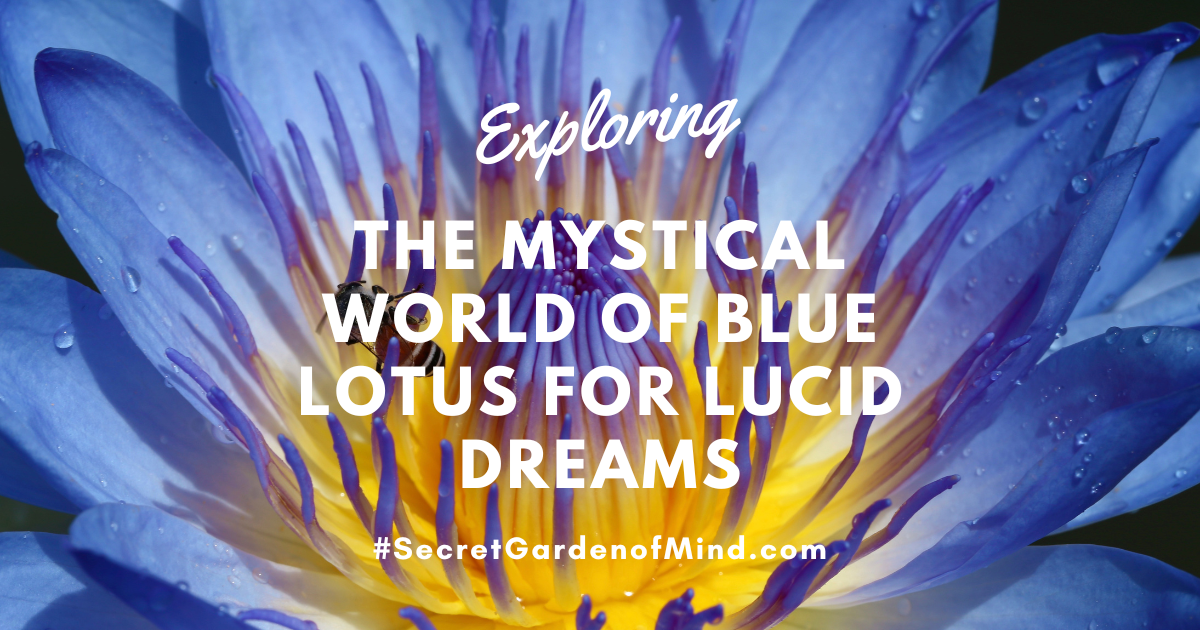 Exploring the world of blue lotus for lucid dreams