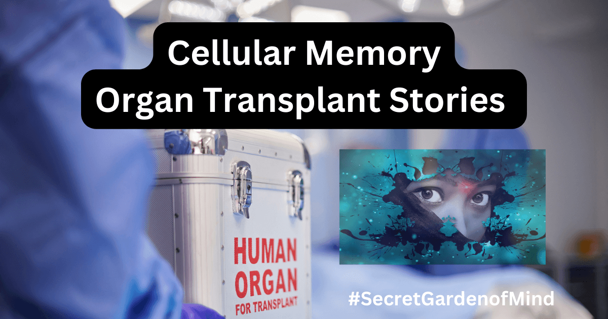 Cellular Memory Organ Transplant Stories