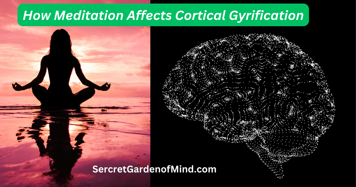 how meditation affects cortical gyrification