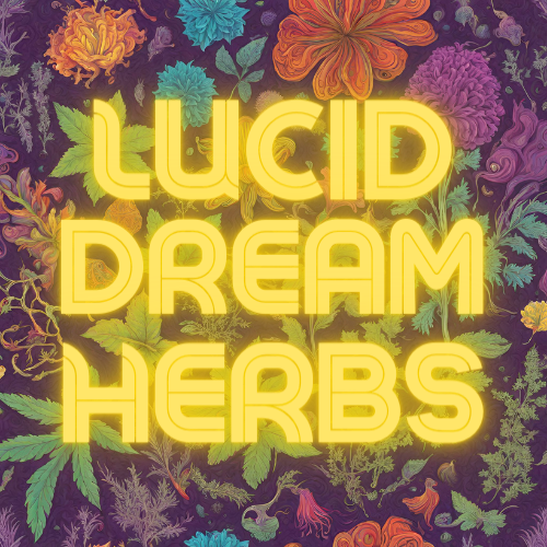 lucid dream herbs